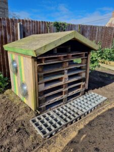 Gandy Field Empty bug hotel