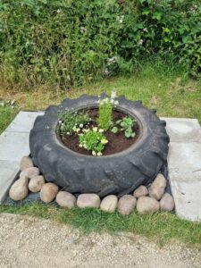 Gandy Field Tyre and flowers with large pebbles