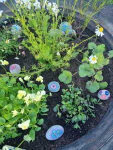 Gandy Field flowers in a tyre