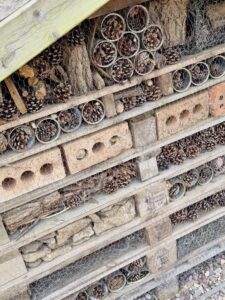 Gandy Field close up of bug hotel