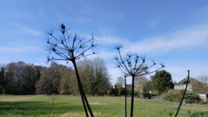 Spring Flowers 10