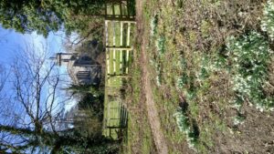 Weldon Church