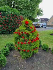 Weldon D Day Celebrations (11)